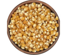 Кукуруза для попкорна (6)